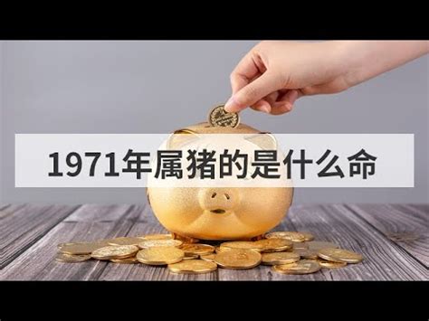 71年是什麼年